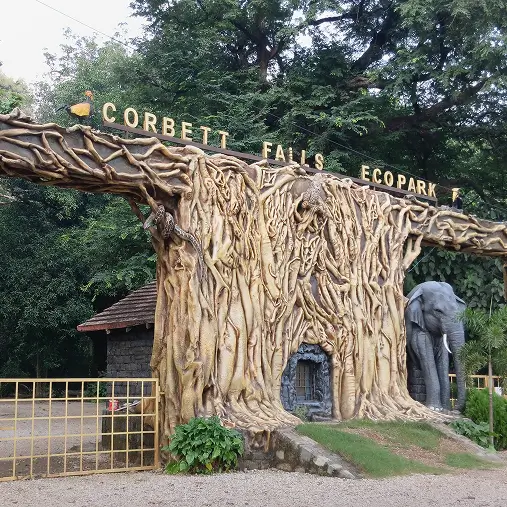 Best places to visit in Jim Corbett highlighting the cascading water stream at Corbett Falls surrounded by dense forest.