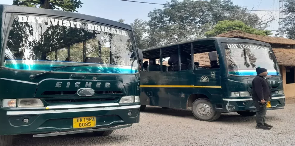 Dhikala Canter Safari booking at Dhangarhi Gate - Vyaghra Vipinam Venture