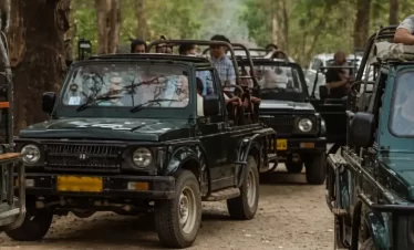 Group tour package with safari and stay in Jim Corbett.