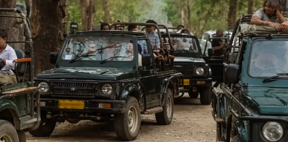 Group tour package with safari and stay in Jim Corbett.