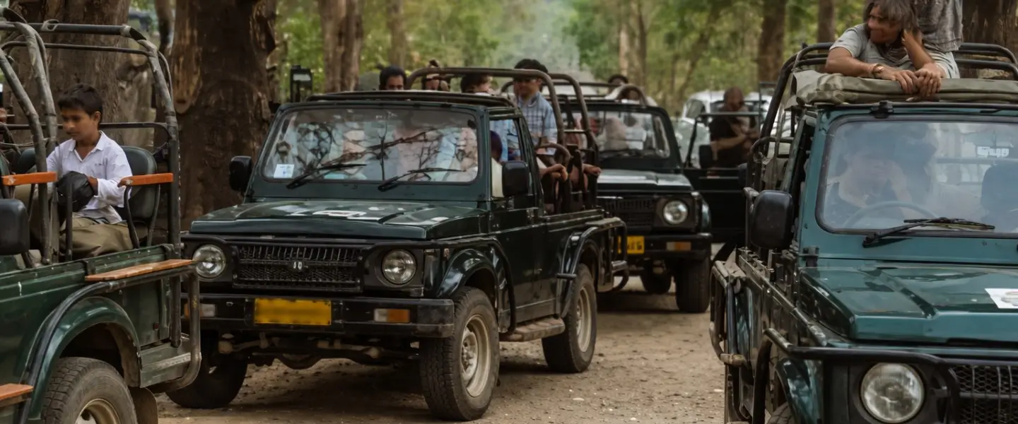 Group tour package with safari and stay in Jim Corbett.