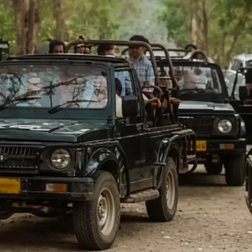 Corbett Group Tour Packages Booking - Vyaghra Vipinam Venture