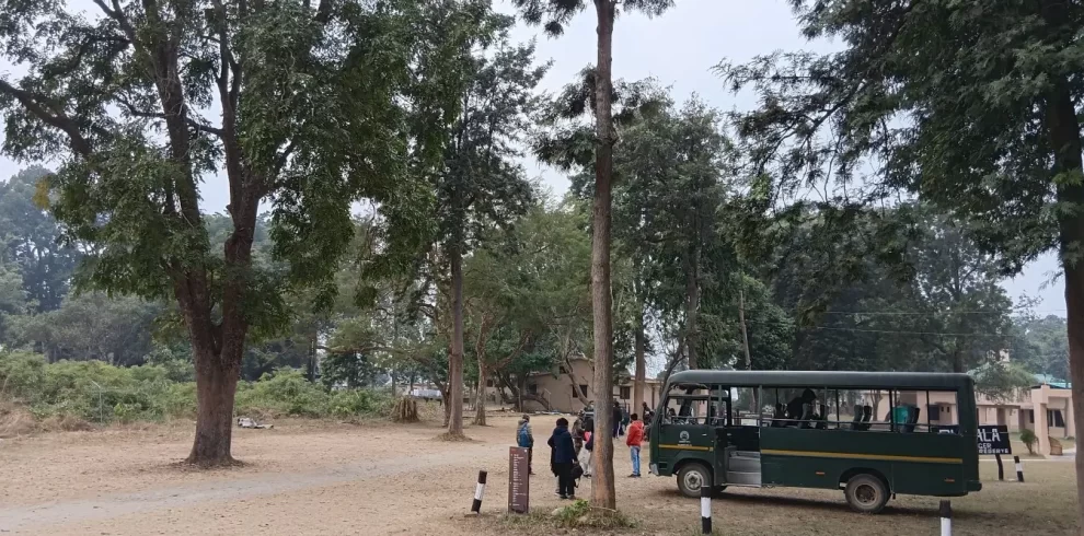 Dhikala tour package with forest safari and night stay in Jim Corbett.